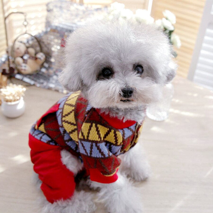 HuaLiSiJi Hond Hoodie Hond Jumper Hond Sweatshirt Chihuahua Jumper Hond Kerst Jumper, Fleece binnen, Zacht Gezellig, Kleur Levendig Gemakkelijk aan en uit te nemen (2set Grijs Blauw, 4XL