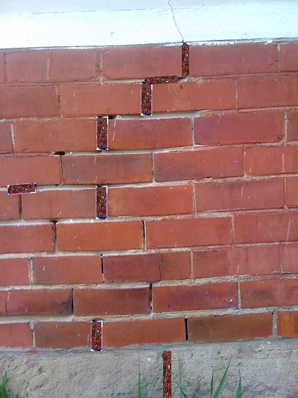 Siatka miedziana netto PCO 6m 20ft siatka ogrodowa siatki ogrodowe akcesoria ogrodowe 2020 gorąca sprzedaż Dropshipping все для сада и огорода