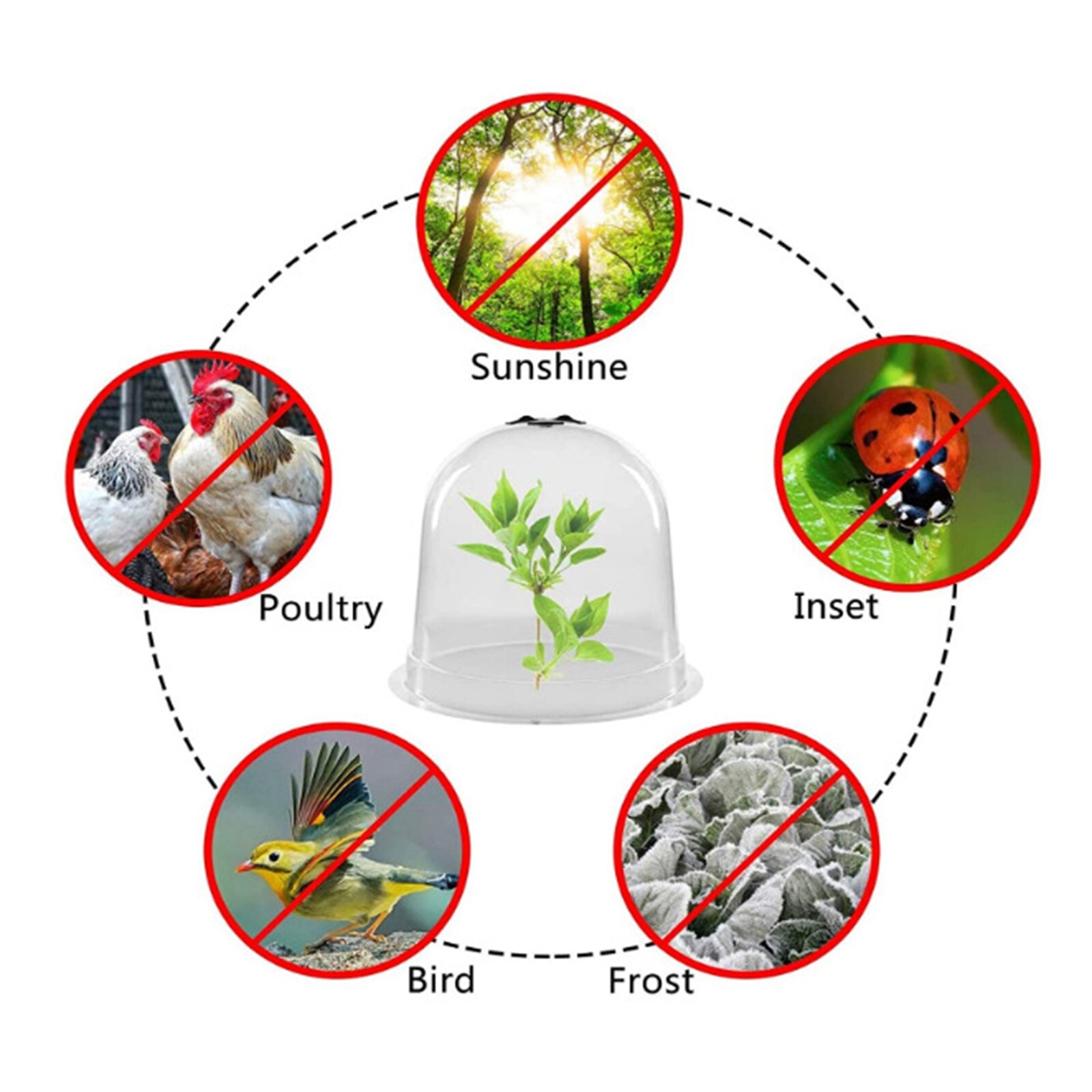 Tuin Cloche Plastic Beschermende Plant Bells Dome Ademend Covers Thermische Isolatie Hydrateren Voor Vetplant Kas