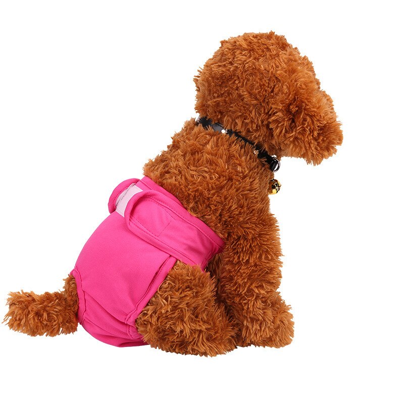 MICATALE Weibliche Hund Welpen Physiologischen Hosen Atmungs Pet Unterwäsche Windeln Waschbar Mädchen Haustiere Windel Für Kleine Mittelgroße Hunde: rose red / L