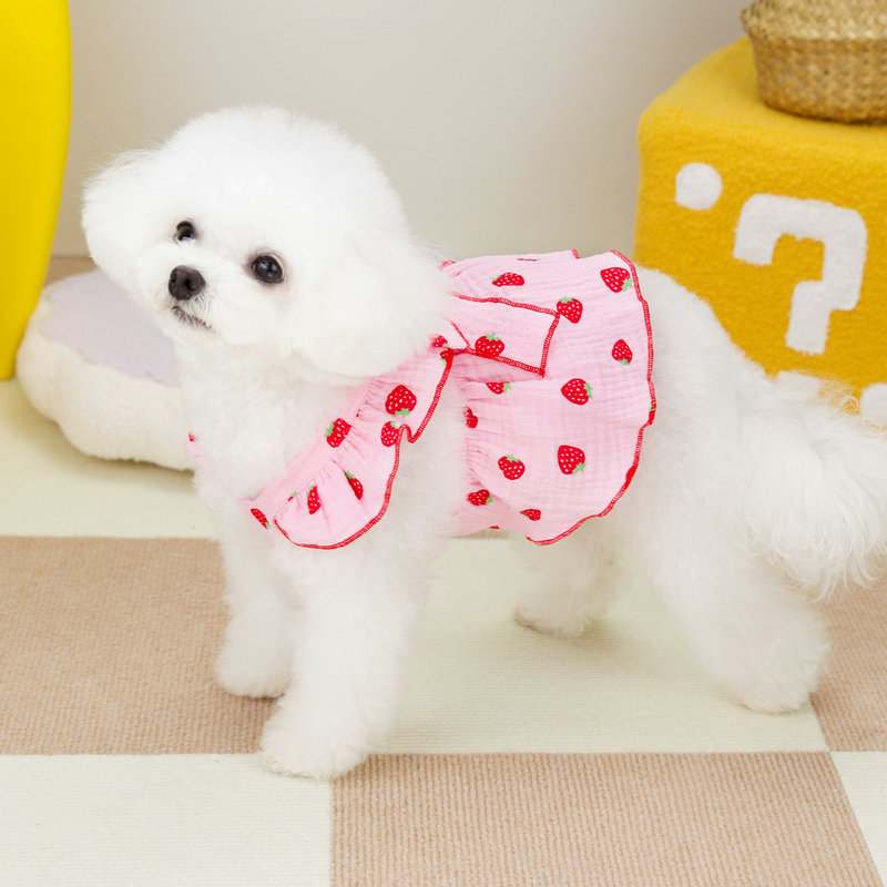 Husdjur jordgubbsklänning sommar hundkläder lyxig hundväst strumpebandshållare kjol hund kyltröja bichon chihuahuakläder hundkläder