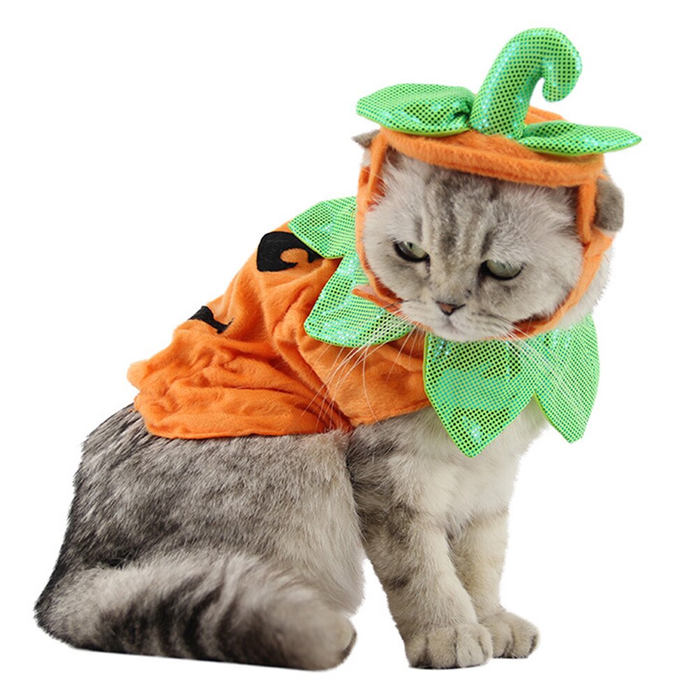 Halloween Party Pet Pompoen Kostuum Voor Honden Katten Kleding Voor Kleine Honden Jassen Jassen Grappig Dressing Cosplay