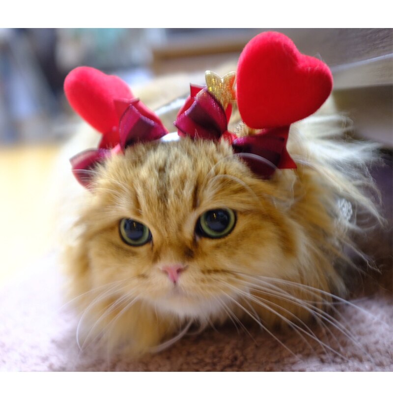 Tocado de gato Manual para el Día de San Valentín, conjunto de cabeza de perro, accesorios para el cabello de mascotas, horquilla, accesorios para gatos, suministros para mascotas
