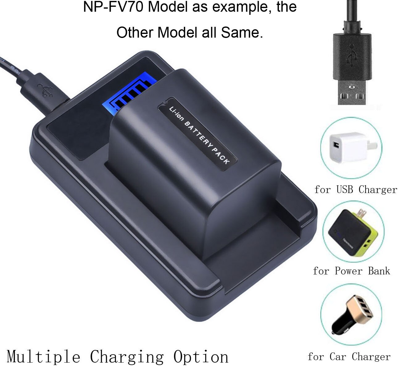Chargeur de batterie pour Sony HDR-CX100E, HDR-CX110E, HDR-CX130E, HDR-CX150E, HDR-CX160E, CX170E, HDR-CX180E, HDR-CX190E caméscope Handycam