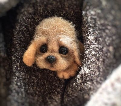 Diy Dieren Broche Vos Hond Kat Wol Naaldvilten Materiaal Pakket Wolvilt Craft Poke Set Handwerk: 16