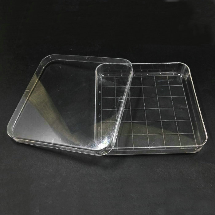 10Pcs Clear 10*10Cm Geschaald Vierkante Plastic Petrischaal Met Deksel, Cultuur Schotel