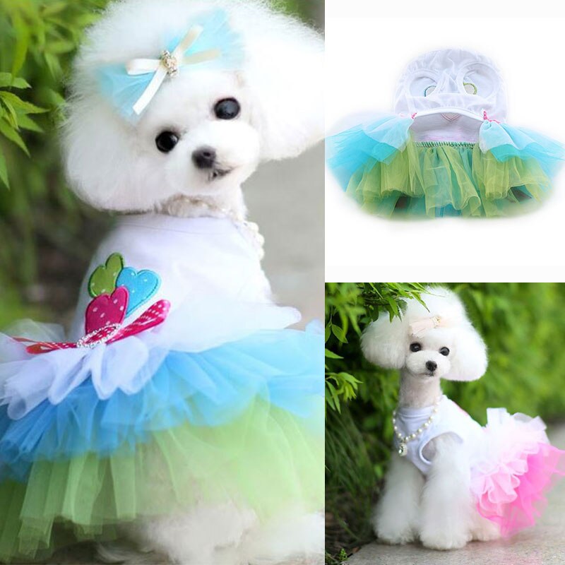 Jurk Voor Kleine Honden Hond Kleding Puppy Sweety Prinses Jurk Mooie Kant Rok Chihuahua Lente Zomer Kostuum Dierbenodigdheden