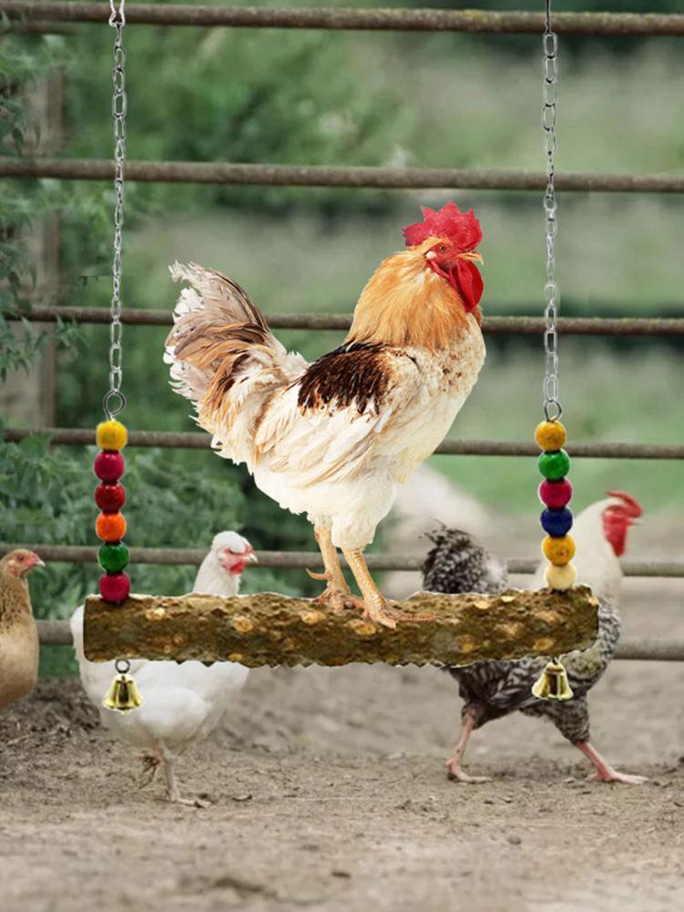 31*45cm kurczak huśtawka szkolenie ptaki stojący okoń kurczak drewniana podstawka ptak gryzak dla kur średnie duże ptaki papugi