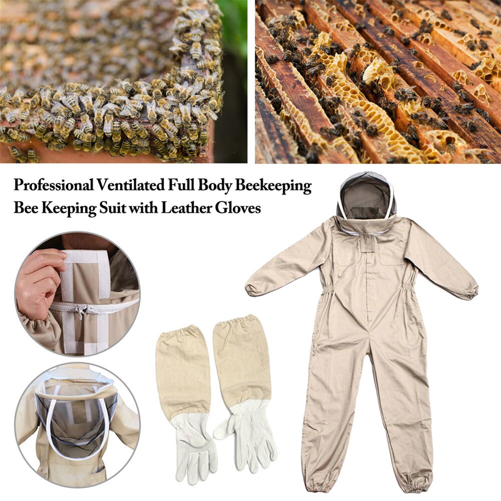 Ensemble complet pour apiculteur, vêtements pour apiculteur, voile, chapeau, veste de protection pour apiculteur, équipement avec gants