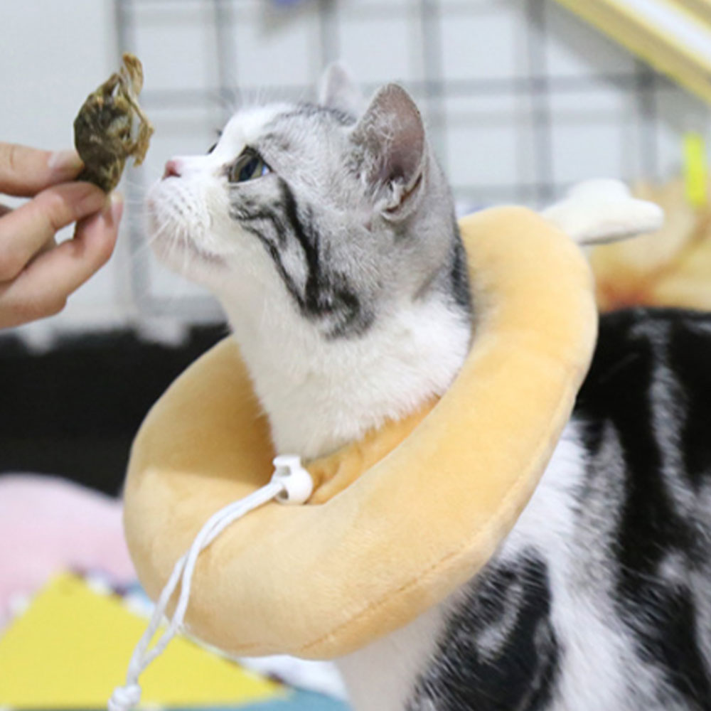 Adjustable Elizabeth Collar Anti-Licking Pet Recovery Ring Anti-Bite Protective Ring Surgery Wound Healing Circle For Dogs Cats