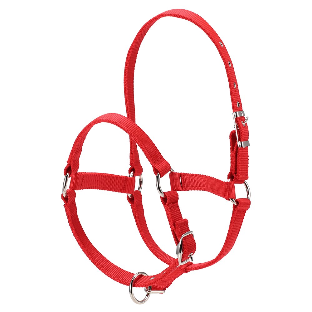 Collar de cabeza de caballo grueso de 6MM, brida ajustable de seguridad, accesorios de equipo de equitación, cuerda de caballo de plomo