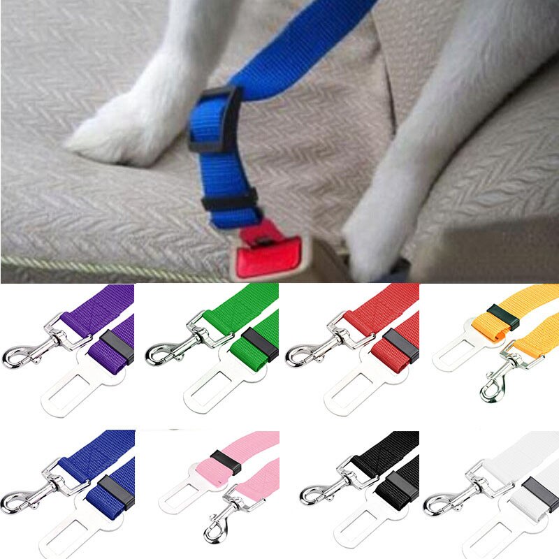Halsband Veiligheid Seat Belt Kleine Pet Dog Nylon Leash Harnas Lood Lood Riem Riem Mode dierbenodigdheden acessorios #30