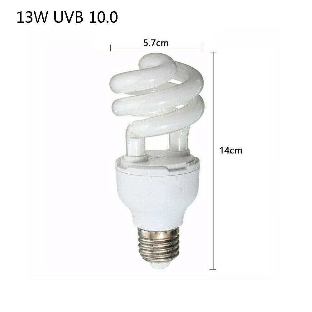 Lampe UV Reptile Pet 13/26W | Éclairage d'habitat, ampoule UVB 5.0/10.0 pour Terrarium de Lizard: 13W UVB 10