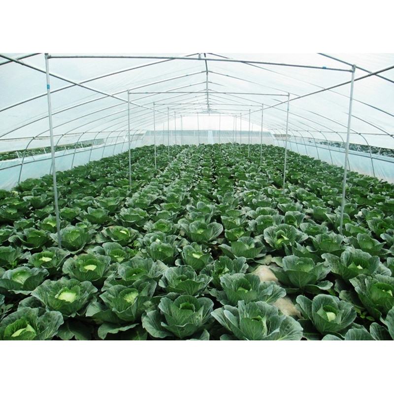 Malla de 40 para invernadero de 2x5m, mosquitera para jardín, fruta, vegetales, red de protección, cubierta para planta