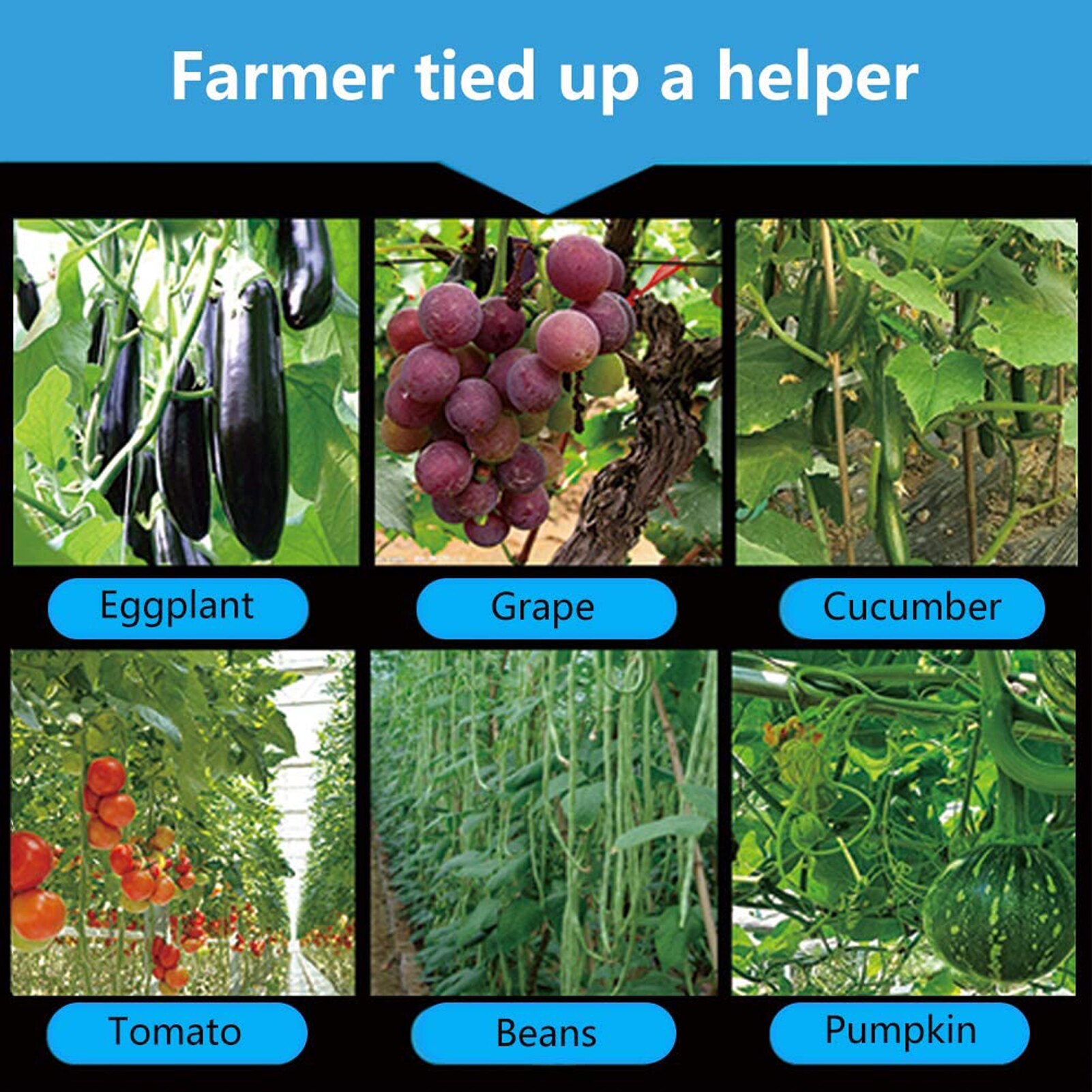 Plant Strapping Machine Garden Plant Tape Tool Vegetable Grape Tomato Strapping Machine With Blue Tape Set рука для прививки