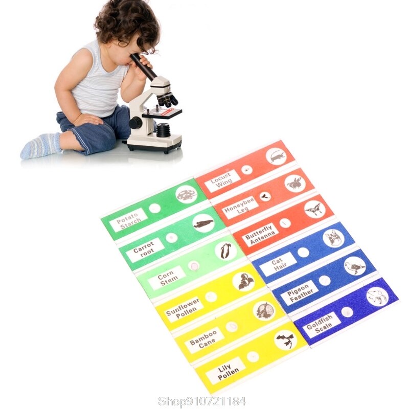 12 Pcs Prepared Microscope Slides Set Specimen For Student Basic Biology Education