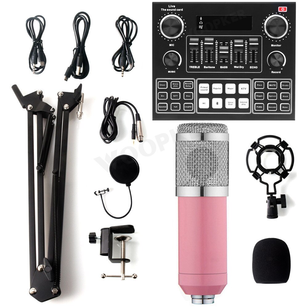 Professionnel Condensador Microfone Bm 800 Microphone with V9 Sound Card for Gaming PC Karaoke Studio Equipment USB Microfono: Pink V9