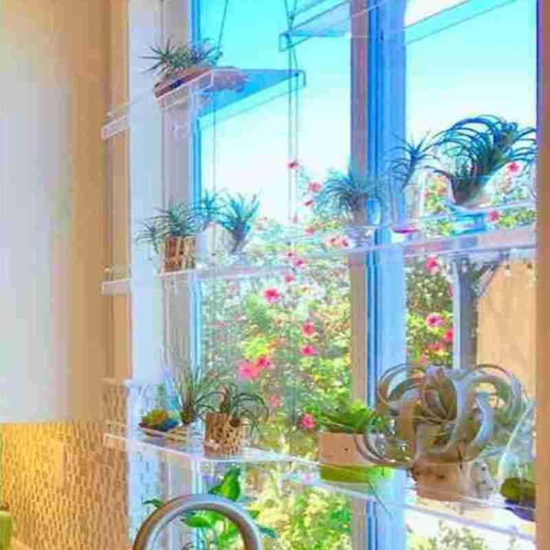 Shelf For Plants Window Bathroom Or Kitchen Window Plant Shelf Hanging Shelf Plant Shelves Plant Stand Indoor Garden Decor