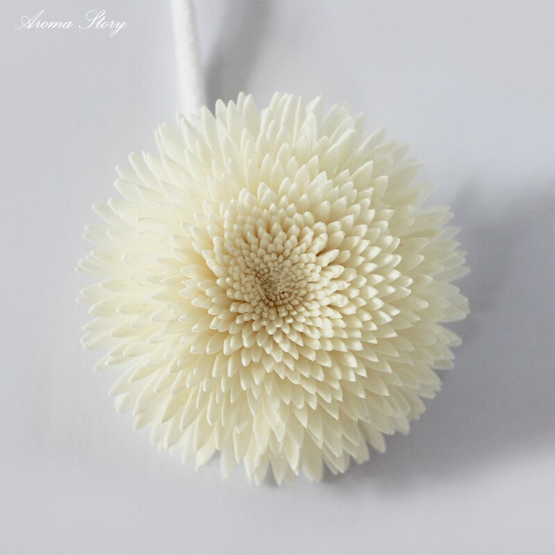3pcs/lot Sola Flower With Rope For Frangrance Diff... – Vicedeal