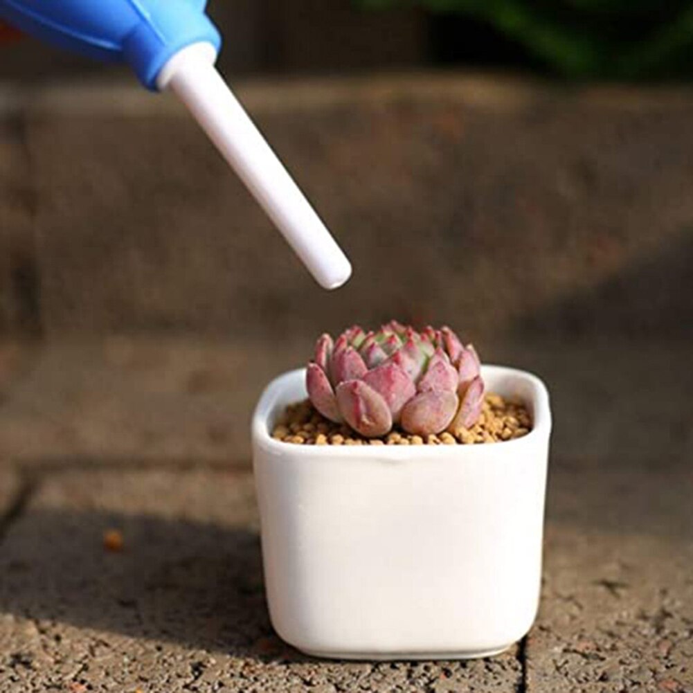 21 pièces/ensemble arrosage semis semis creuser jardin jardinière Kit Mini ménage bricolage outil Prune plante succulente repiquage