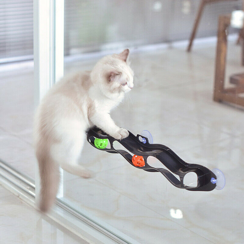 Funny Cat Pet Interactive Track Ball Toys Window Suction Mount Senses Toy Ball