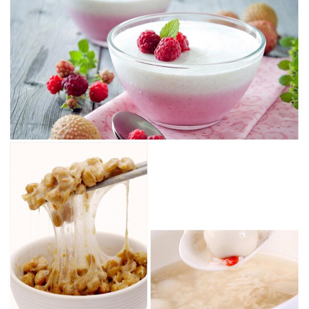 Machine de germes de haricot d'intelligence d'utilisation à la maison de 220V 110V grande capacité Thermostat graines vertes croissant Machine automatique de germination de haricot