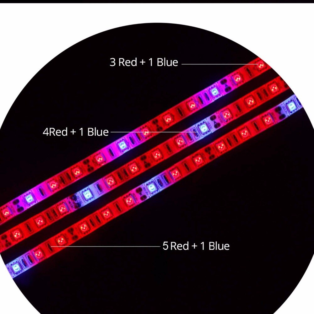 5050 Led Strip Voor Planten Groeien led licht groeien phyto lamp voor planten phytolamp voor zaailingen phyto lamp voor planten groeiende Groei
