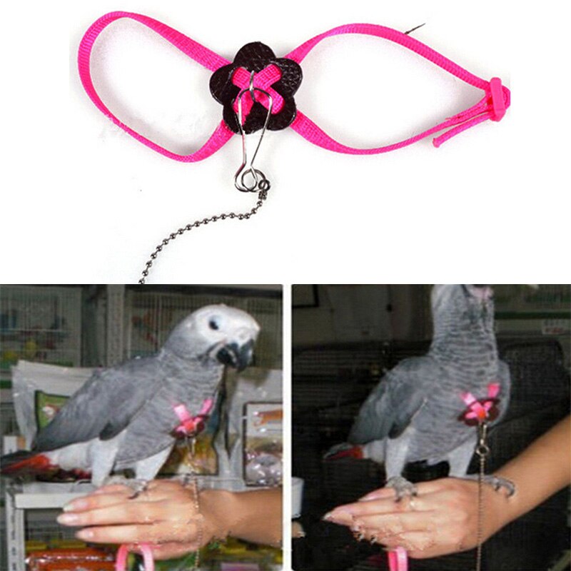 Parrot Bird Harness & Leash Verstelbare Multicolor Licht Zachte Mode Huisdier Producten Traning Gereedschap