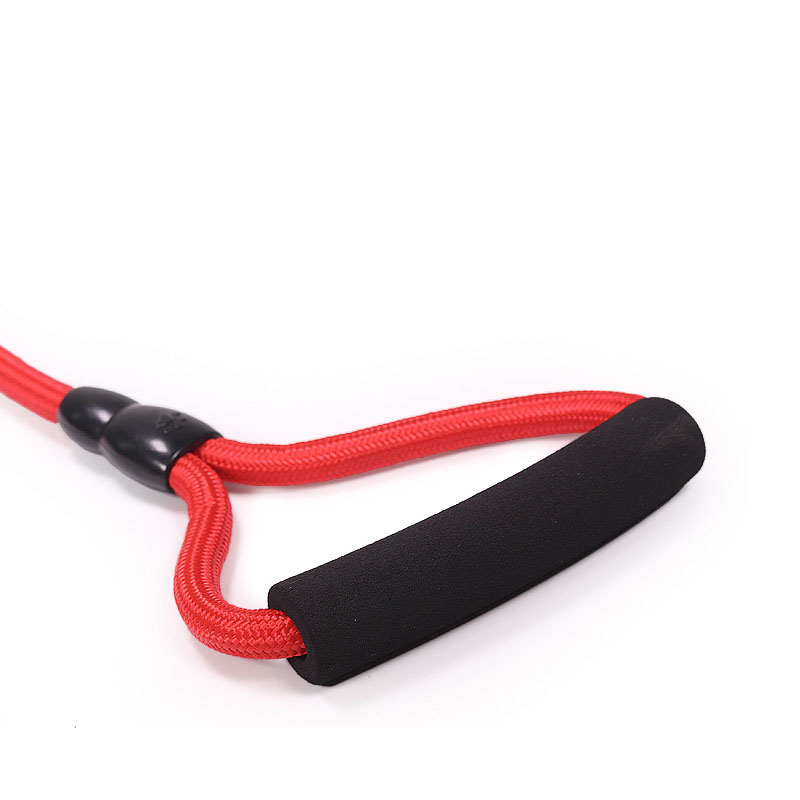 Pet chien laisse petit grand chiot chien laisse rappel formation suivi obéissance longue ligne plomb escalade corde 2 m 3 m 5 m 10 m
