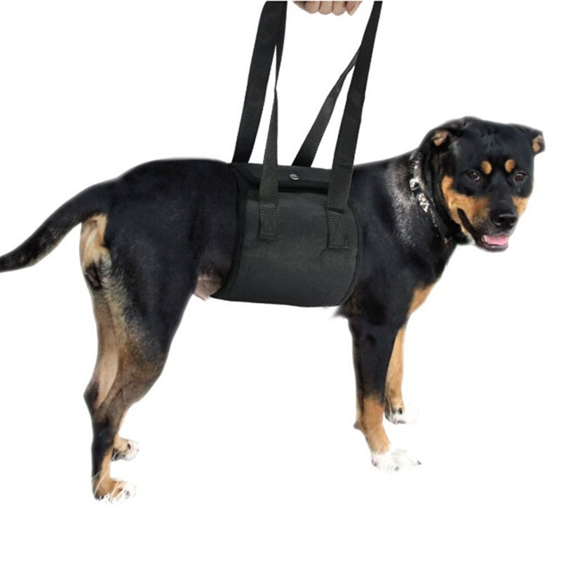 Veterinarian Approved Dog Support Harness Dogs Sling Lift for Paralyzed Legs Adjustable Straps Mobility Rehabilitation for Dogs