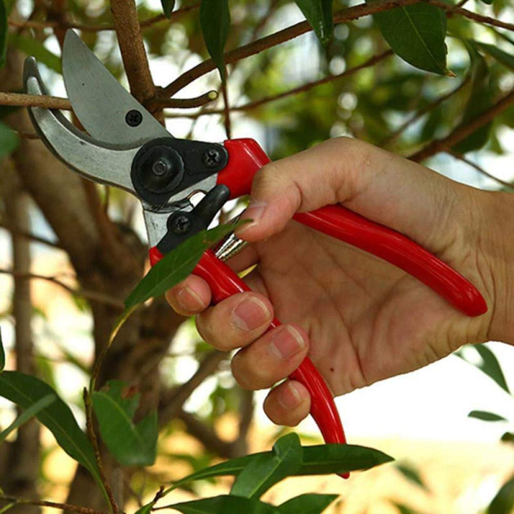 Pruning Shears Garden Bypass Pruners and Ergonomic Flower Cutter Grafting Tool Scissors Trimmer Cutter garden tool