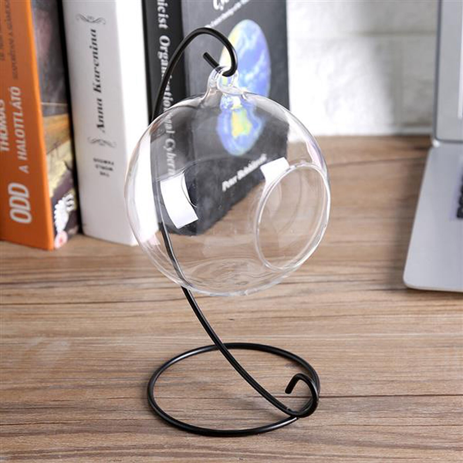 Hanging Glass Terrarium Clear Large Glass Vase With 23cm Metal Display Stand Ocean Scene For Air Plants Succulent Planters Home