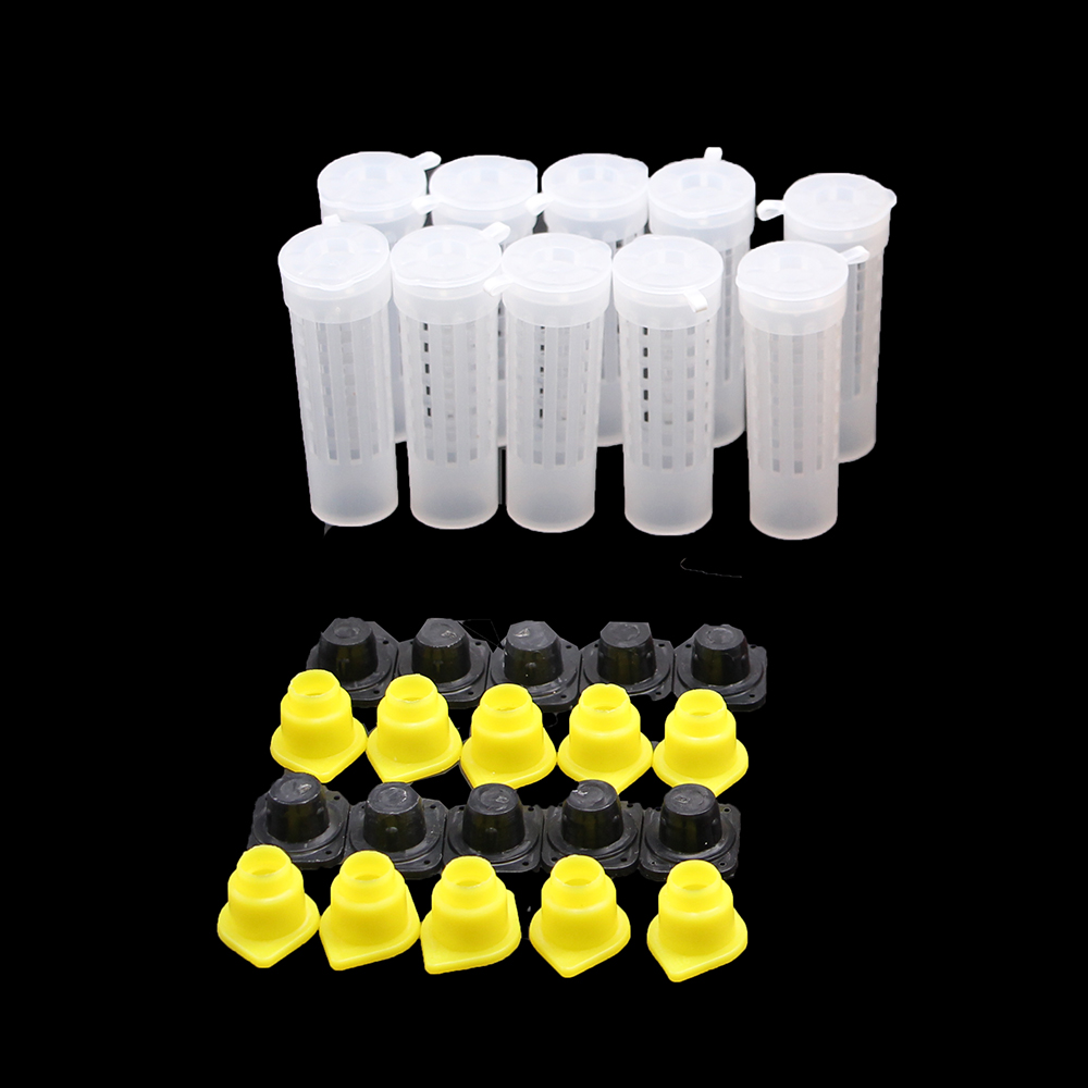 1Set Bijenteelt Kit Queen Bee Grootbrengen Systeem Plastic Overdracht Naald Doos Kooi Mobiele Cup Bescherming Cover Bijenteelt Hulpmiddel Levert