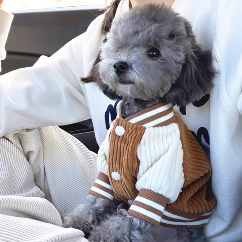 Bordado dos desenhos animados cão uniforme de beisebol inverno quente roupas para cães moda filhote de cachorro casaco engrossar macio gato casaco trajes para animais de estimação: M / Preto