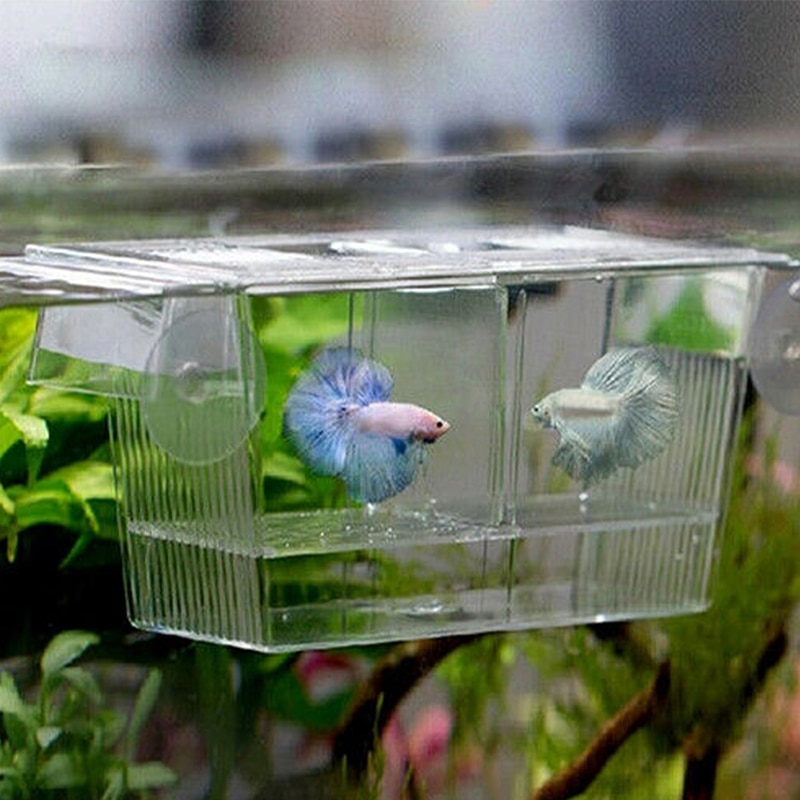 Home Fish Pet Supplies Acrylic Fish Breeding Isolation Tank Aquarium Breeder Box Double Guppies Hatching Incubator Aquarium