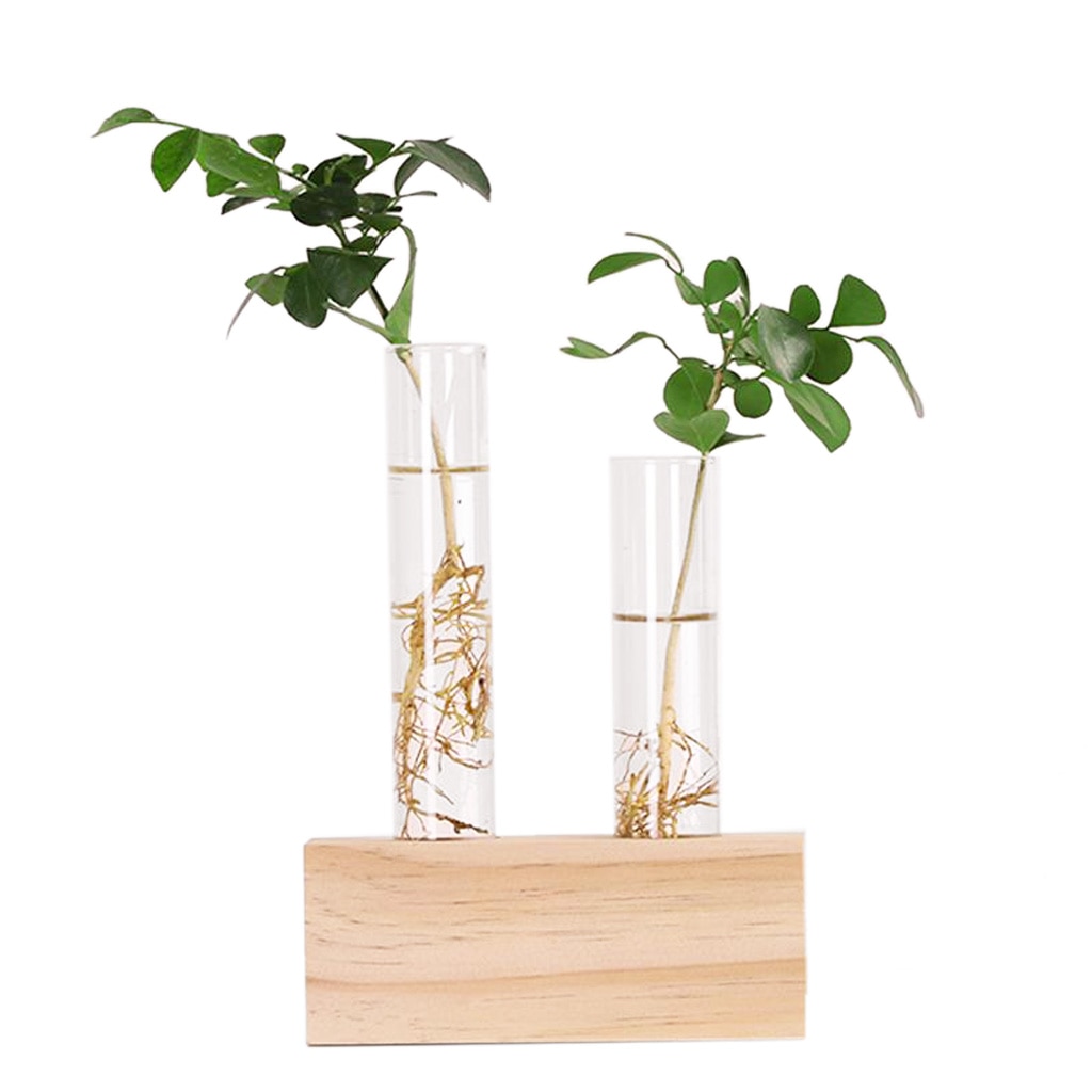 Krystalglas reagensglas vase blomster planter hydroponisk plantekasse+ træstativ dekoreret med en blomst boligindretning