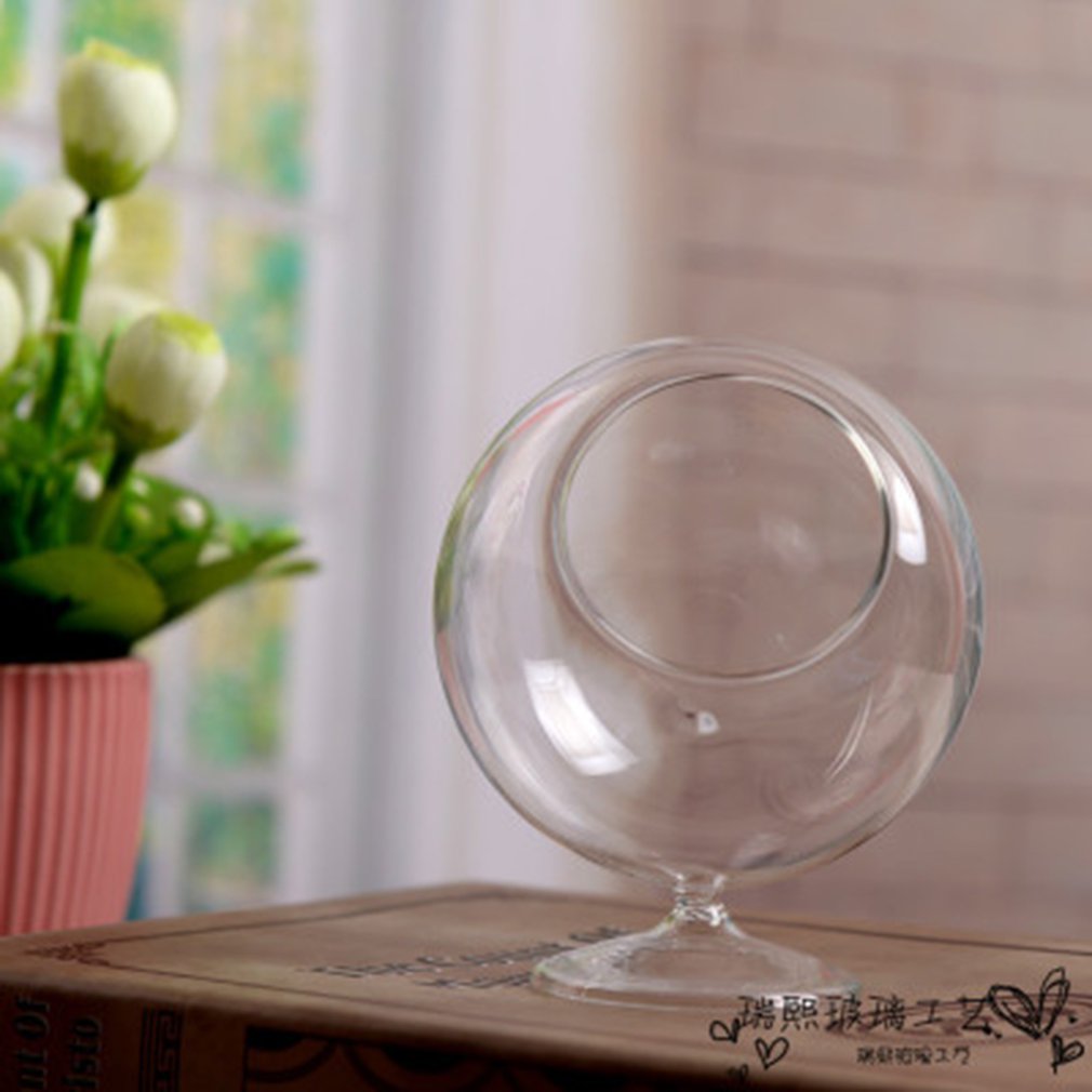 Transparente redondo borosilicato botella de vidrio hidropónico planta florero Mini paisaje flor suculentas plantador