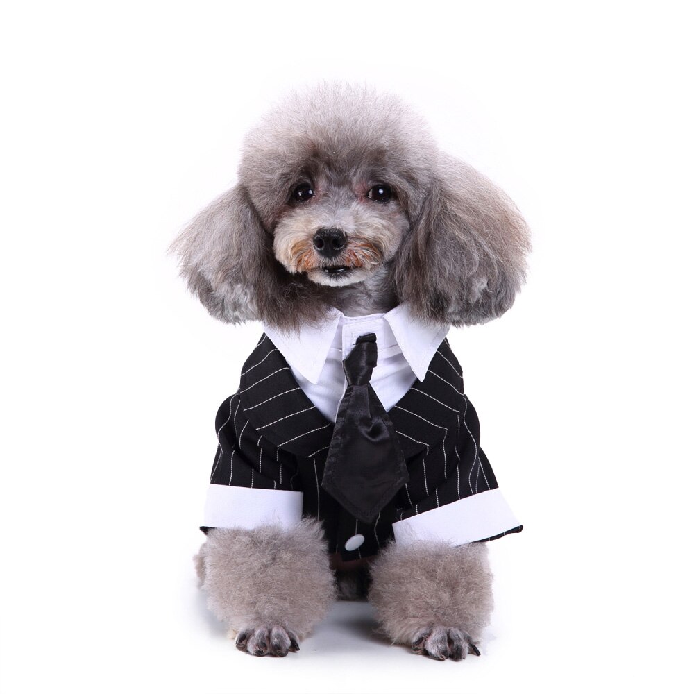 Gentleman kæledyr tøj hundedragt stribet smoking sløjfe bryllup festkjole til hunde halloween jule outfit kat sjovt kostume