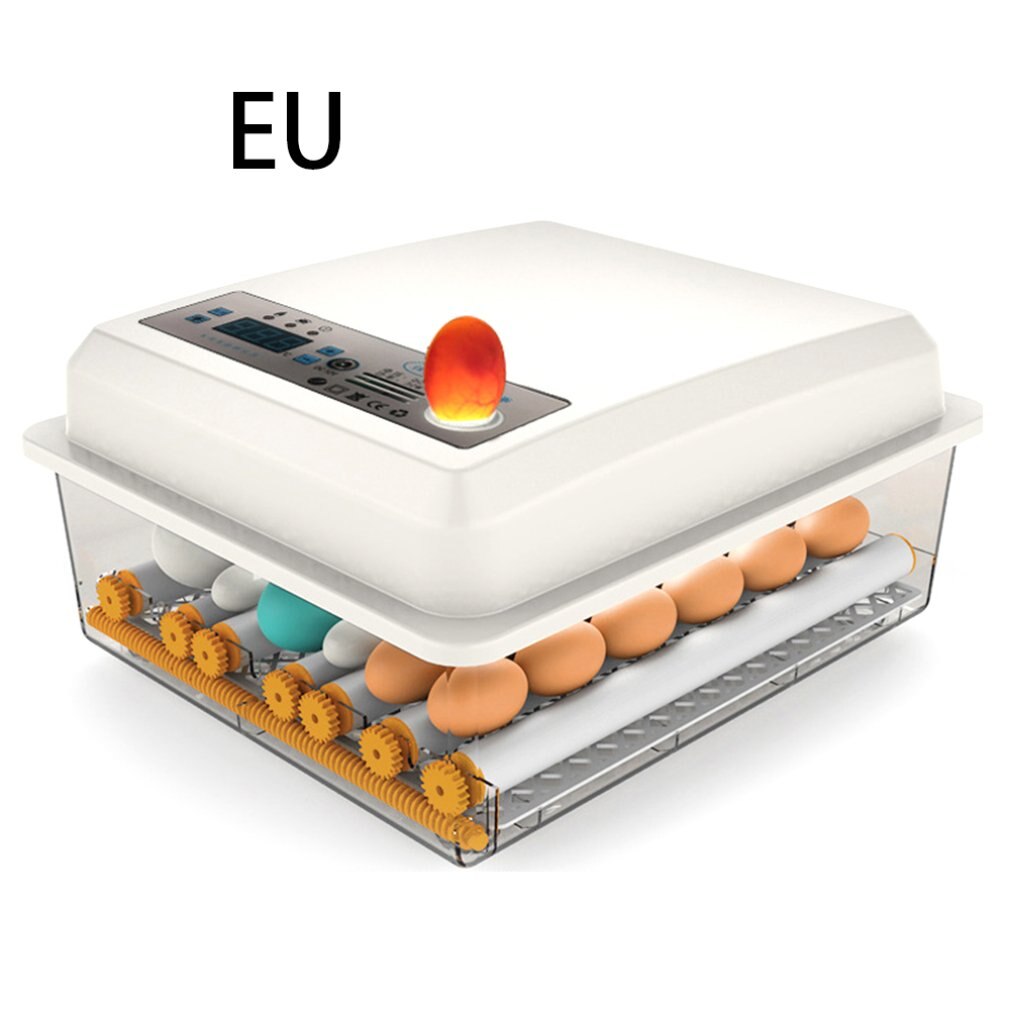 BREUAILY Incubateur 8 Œufs Couveuse Digitale Intelligente - Contrôle Température LED Pour Œufs Poule, Canard, Caille - Idéal Éducation Et Élevage