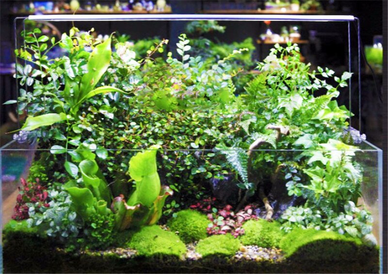 Chihiros ada stil plante vokse ledet lys en serie kort lampe akvarium vand plante akvarium