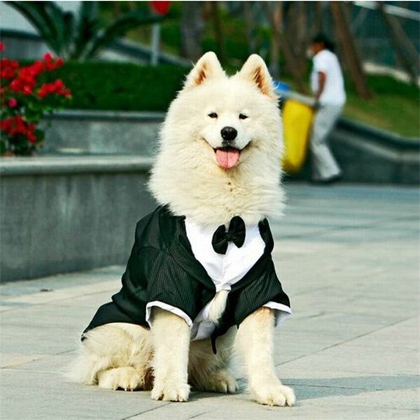 Großen Hund Kleidung Großen Hund Hochzeit Anzug Rauchen Kleidungsstück Kleidung Für Bulldoggen Hund Formale Partei-anzug Mantel Jacke Kostüm Bekleidung