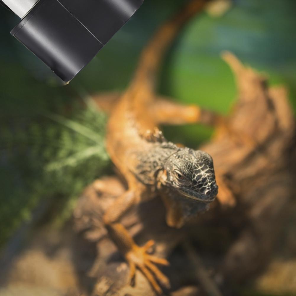 Dubbel reptil lampa för reptil dome uvb lampa dubbel lampa lock kombi integration värmeljus lampa kit