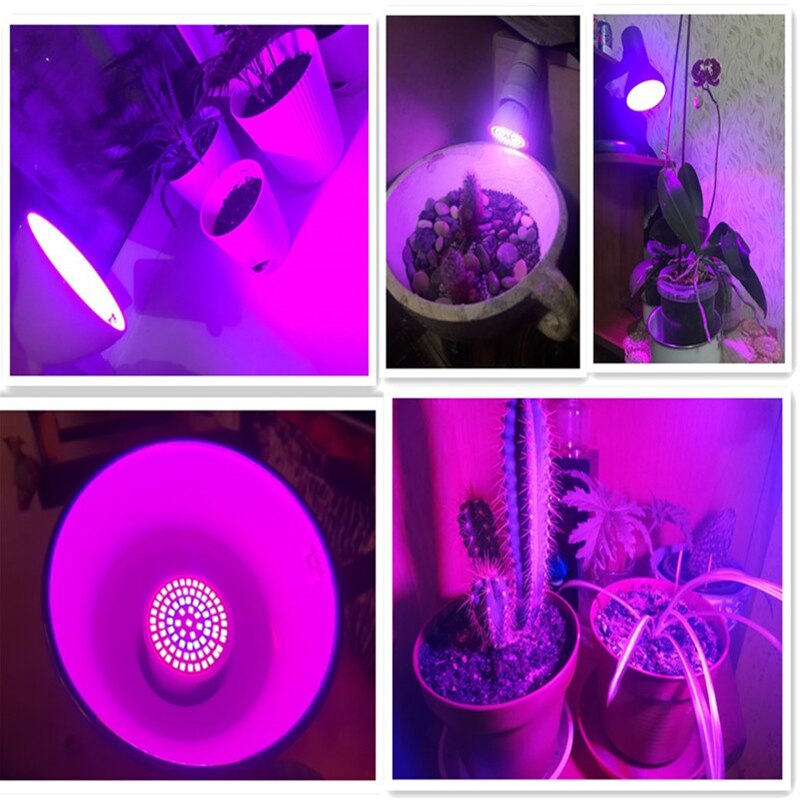 Fullspektret ledet plante vokser lyspære  e27 MR16 gu10 220v fitolampy phyto lampe til innendørs hageplanter blomst hydroponics vokser
