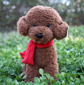 Mooie Hond Mannequins Huisdier speelgoed Teddy Hond Pluche Speelgoed Pop Woninginrichting Dressup