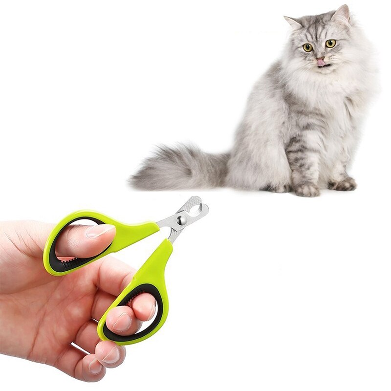 Kat Hond Grooming Nail Toe Claw Clippers Cutter Tang Kleine Hond Kat Nagelknipper Kat Hond Schoonmaken Beauty Tool nagelknipper S