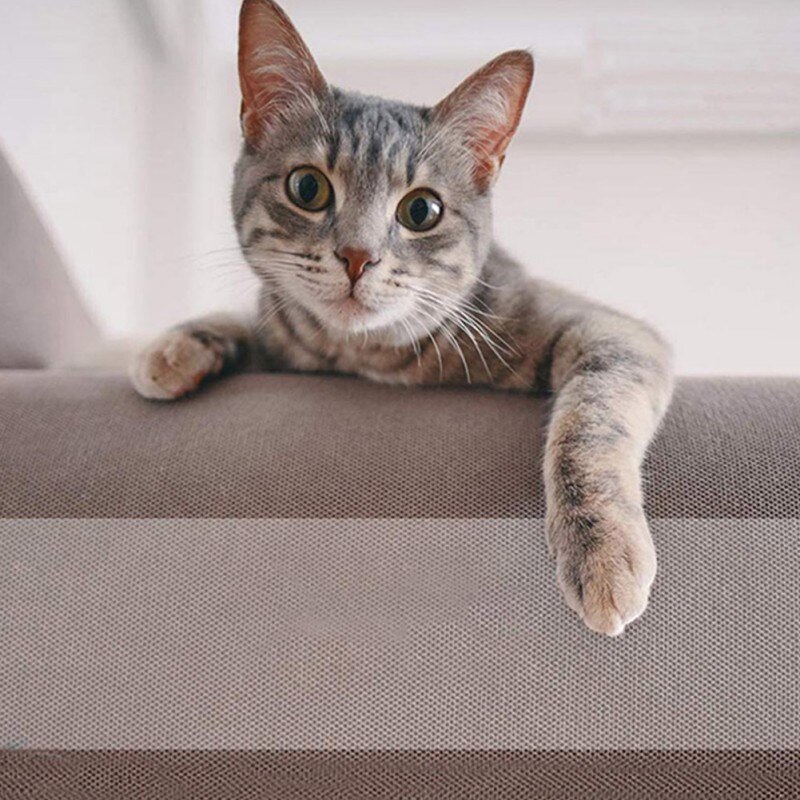 Møbelbeskyttelse kat ridsebeskytter anti-ridse tape rulle kat ridse forebyggelse klar fremragende materialesikkerhed