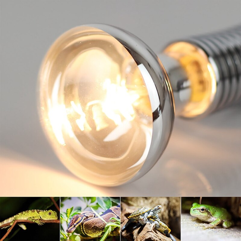 75W 2-Pack Basking Spot Heat Lamp Bulb 110V Soft Glow UVA Glass Cover Heat Lamp Bulb Light for Lizard Bearded Dragon Chameleon S