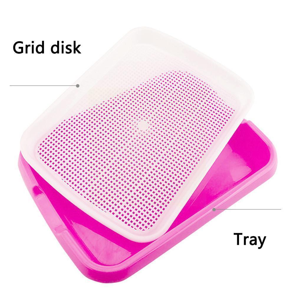 Plateau de semis à Double couche, Pots de plantation de semis d'herbe de blé de pois, plats plats, plateau de croissance de Germination, plateau de pépinière de Germination D9N2