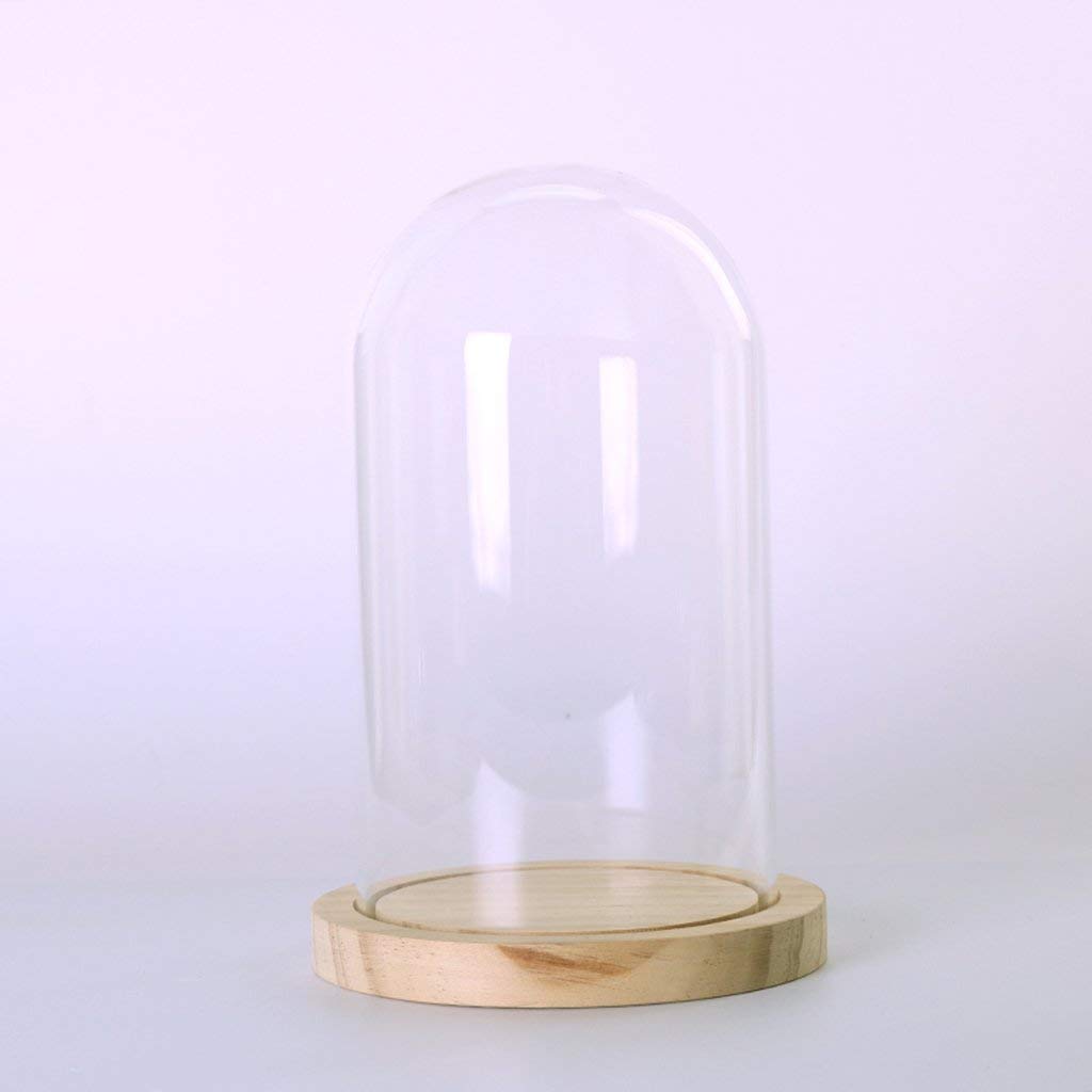 LBER-cloche en verre Transparent | Bocaux à succion en verre, sur pied en bois, pour fleurs plantes naissance, d'exposition dôme Base en bois