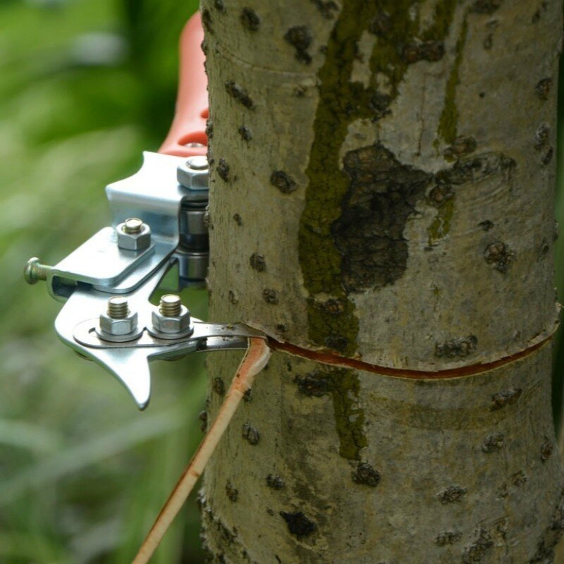 Fruit Tree Ring Cutter Apple Pear Tree Adjustable Size Ring Cutter Branch Shears Household Gardening Tools Supplies 1PCS